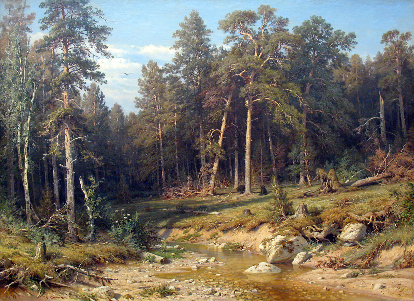 pine forest[